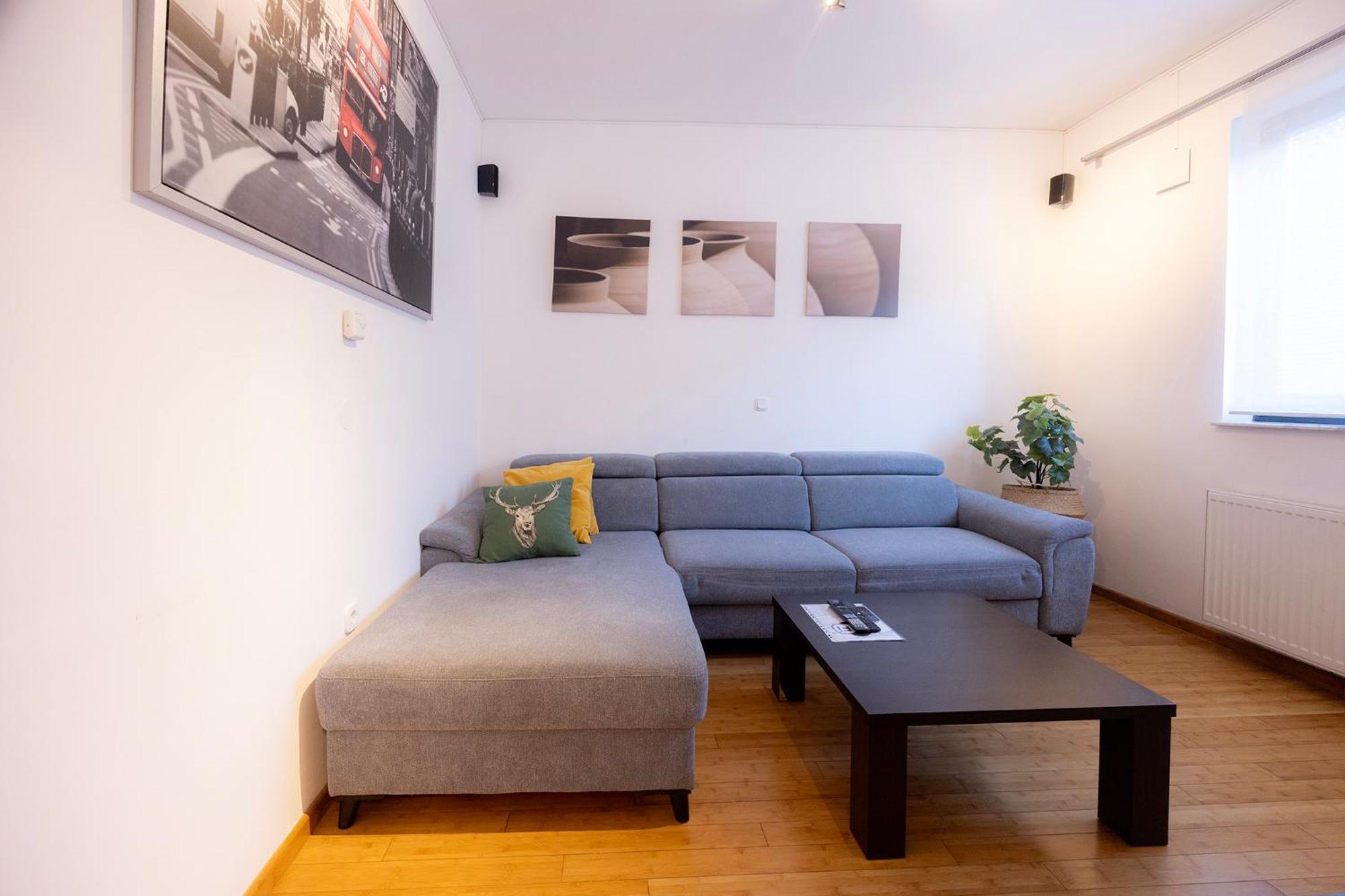 Apartmaji Anze 克拉尼斯卡戈拉 外观 照片