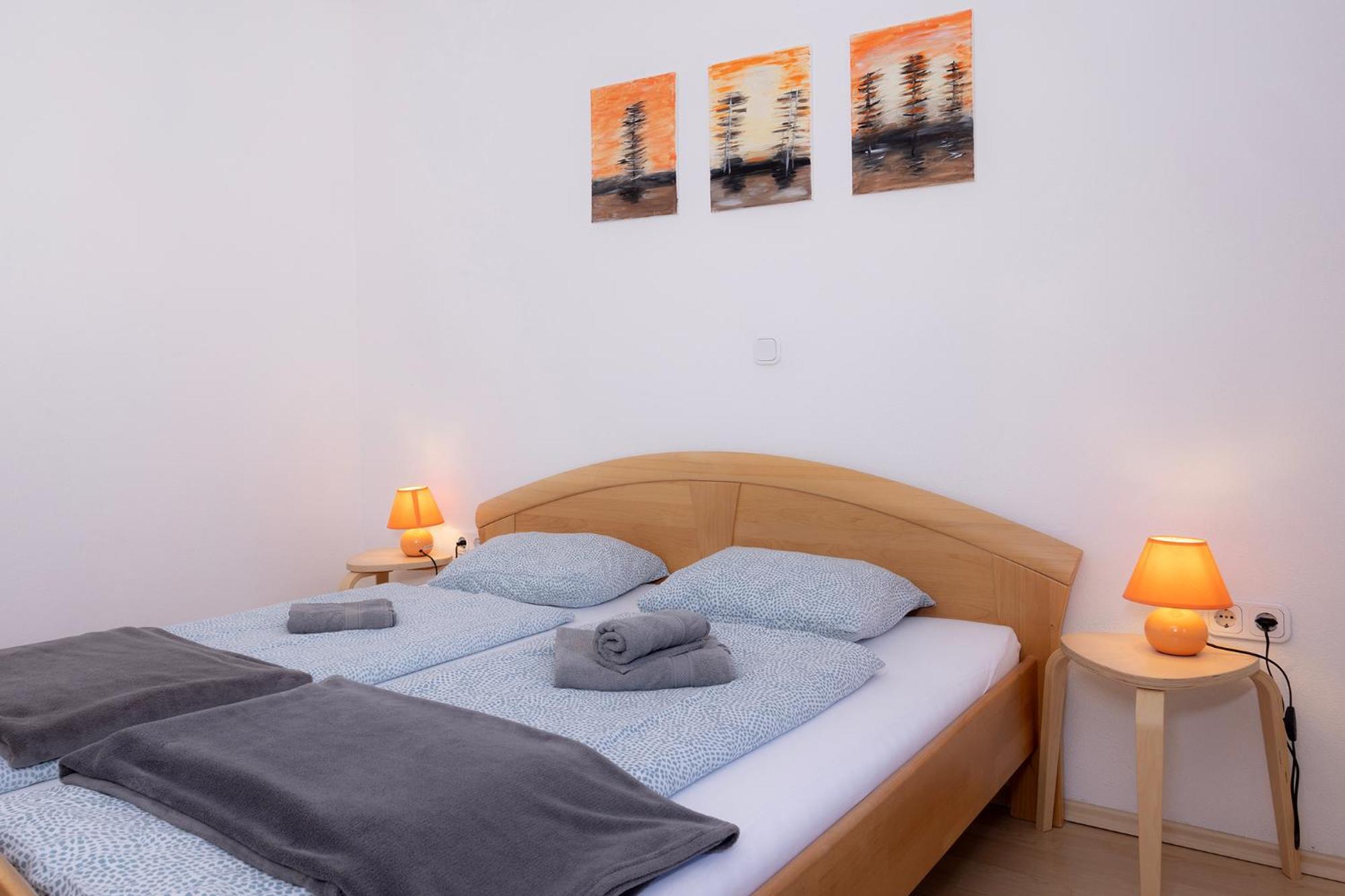 Apartmaji Anze 克拉尼斯卡戈拉 外观 照片