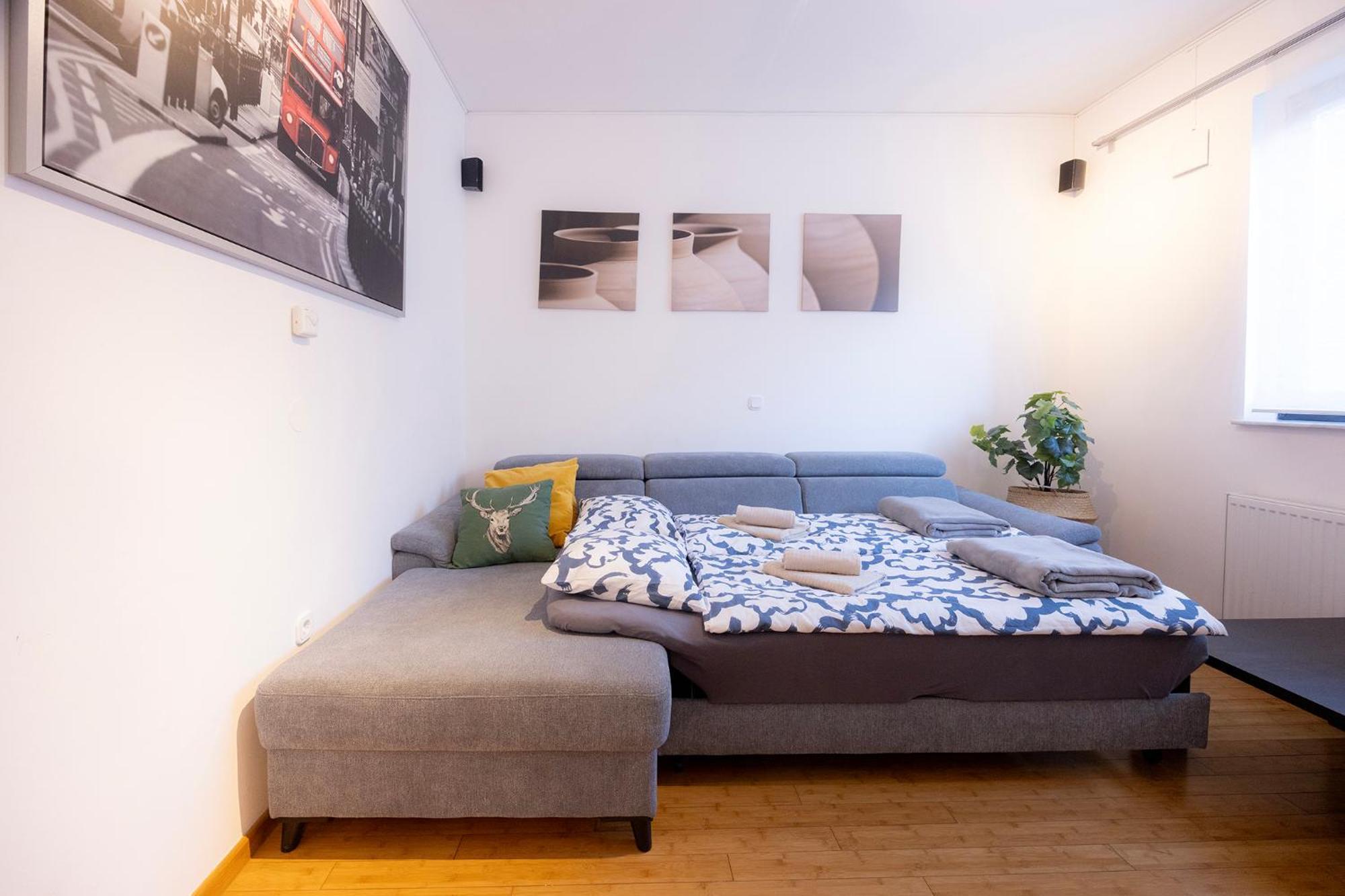 Apartmaji Anze 克拉尼斯卡戈拉 客房 照片